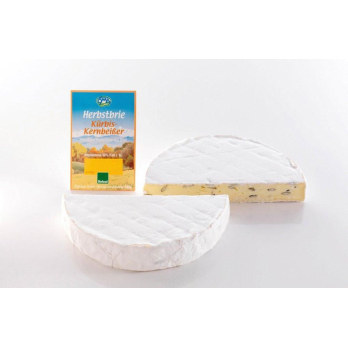 Herbstbrie - Kürbis