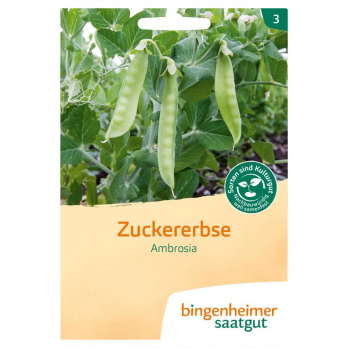 Zuckererbse Ambrosia, Saatgut