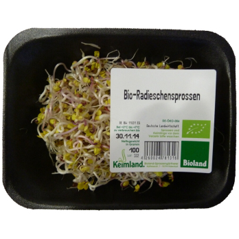 Sprossen - Radieschensprossen samenfest