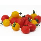 Tomaten - Cherry Mix lose