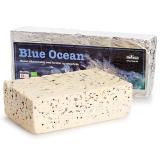 Blue Ocean