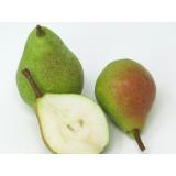 Birne - "Clapps Liebling" - 2,5kg Kiste