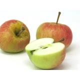Äpfel - "Rubinola"