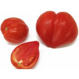 Tomaten - Ochsenherz rot
