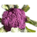 Blumenkohl lila