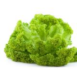 Salat, Lollo Bionda