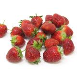 Erdbeeren - 500g-Schale