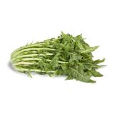 Puntarelle - Cicoria di aspargo