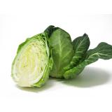 Spitzkohl Neue Ernte