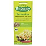 Keimsaat-Buchweizen geschält bioSnacky