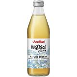 Bio Zisch Light Nature Energy 10 x 0,33 l