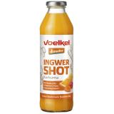 Shot Ingwer Kurkuma Mehrweg