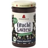 Schwarze Johannisbeere Fruchtgarten