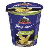 Vanille Joghurt laktosefrei