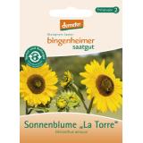 Sonnenblume La torre, Saatgut