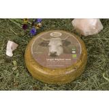 Kraxl Max 25% (alt: Uriger Allgäuer leicht)