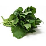 Stängelkohl / Cima di Rapa