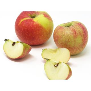 Äpfel - "Alkmene" -  2,5 kg Kiste