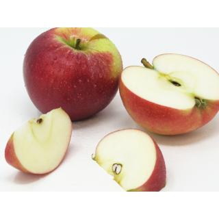 Äpfel - "Gala" -  2,5kg - Kiste