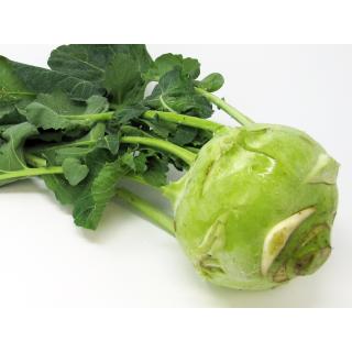 Kohlrabi Superschmelz 1,0 - 2,5kg