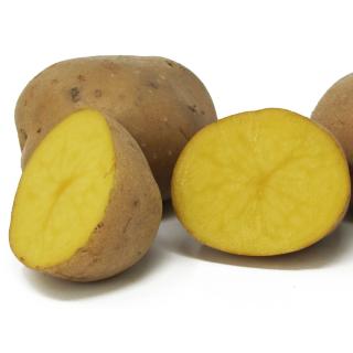 Kartoffeln festk. 1kg - Übergröße Annabelle