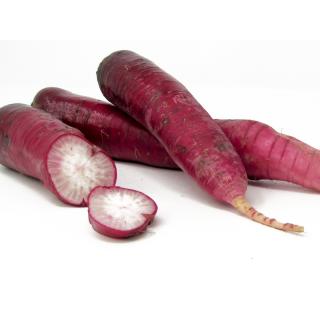 Rettich rot