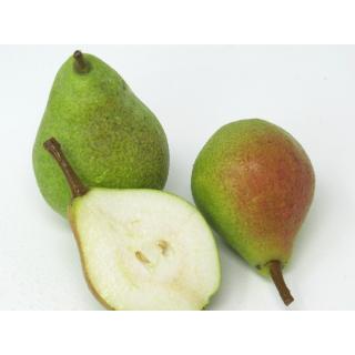 Birne - "Clapps Liebling" - 2,5kg Kiste