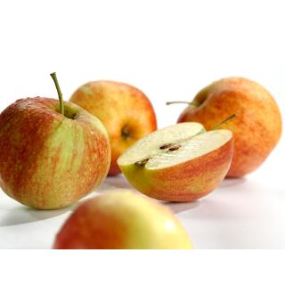 Äpfel - "Jonagored" - 7kg - Gebinde
