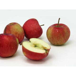 Äpfel - "Nela" - 2,5kg Kiste