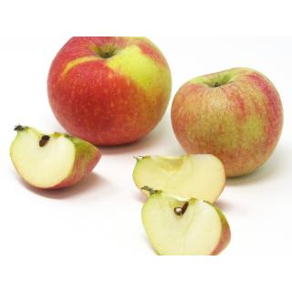 Äpfel - "Alkmene" -  5kg Gebinde