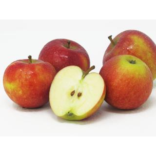 Äpfel - kleines Kaliber - AKTION