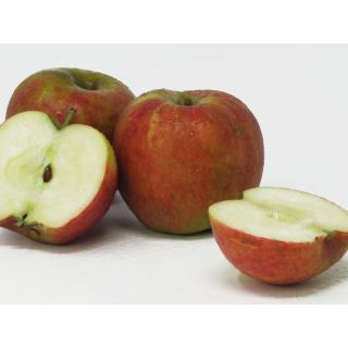 Äpfel - "Biesterfelder Renette" - 2,5kg Kiste