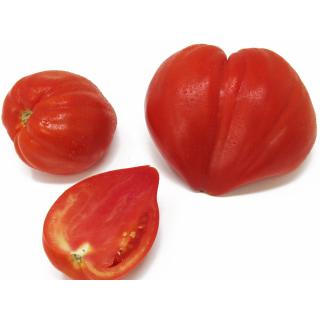 Tomaten - Ochsenherz rot