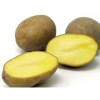 Karelia mehlig k. - 12,5kg | Kartoffeln | Gemüsekiste - bio. vielfalt ...