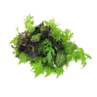 Salat Samen: 8 Sorten Salat Saatgut Set Für Garten Produktbild-Vorschau 12