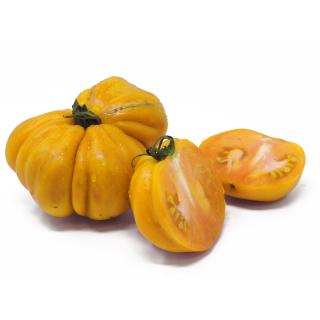 Tomaten Ochsenherz gelb