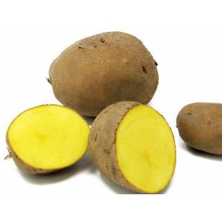 Goldmarie festk. - 1kg