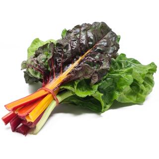 Mangold bunt 200g Bund