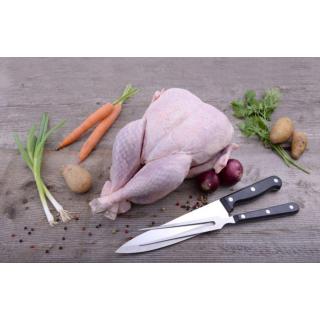 Pute 6-7kg (22.-23.12.25, KW52)