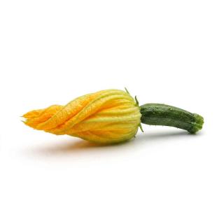 Zucchiniblüten