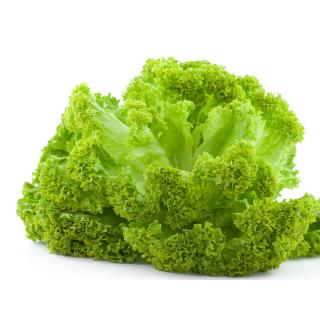 Salat, Lollo Bionda