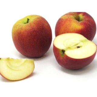 Äpfel - "Lavanthaler Bananenäpfel" - 2,5kg-Kiste