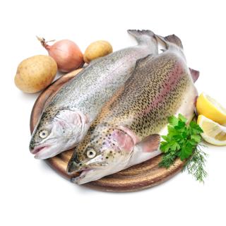 Regenbogenforelle (küchenfertig), ca. 350g (22.-23.12.25, KW52)