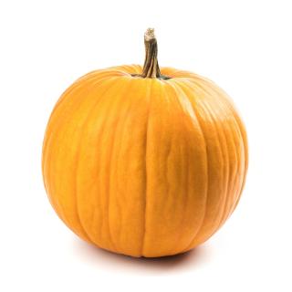 Kürbis -Halloween gross 2,0 - 5,5kg