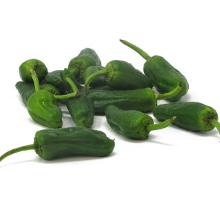 Pimientos de Padron (Bratpaprika)