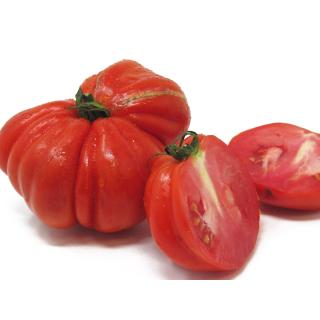 Tomaten