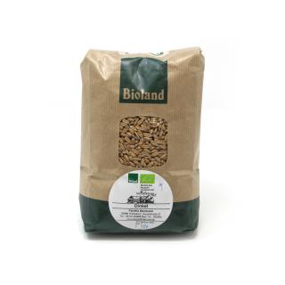 Weizen 1kg