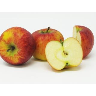 Äpfel -  "Topaz" kleines Kaliber