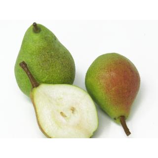 Birne - "Clapps Liebling"