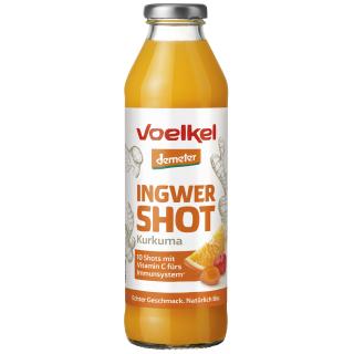 Shot Ingwer & Kurkuma - 0,5 l